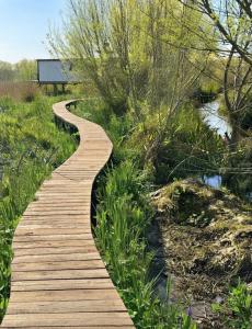 a wooden path through the grass next to a body of water at Casa Sauce Delta in Tigre