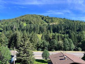 an image of a mountain with a house at Le Balcon - La Bresse in La Bresse