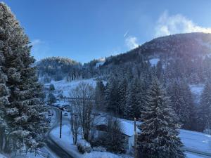 a winter view of a mountain with snow and trees at Le Balcon - La Bresse in La Bresse