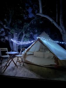 a tent and a table and chairs at night at BajaRoots Glamping in San José del Cabo