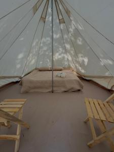 a bed in a canvas tent with a chair at BajaRoots Glamping in San José del Cabo