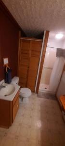 a bathroom with a toilet and a sink and a shower at Thunder Ridge Cabins B&B - Bird Nest in Rockbridge