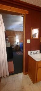 a bathroom with a sink and a room at Thunder Ridge Cabins B&B - Bird Nest in Rockbridge