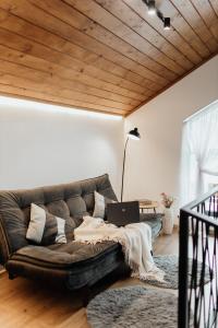 a living room with a couch with a laptop on it at Villa Pelahia in Slavske