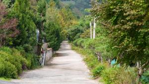 a dirt road with trees on both sides at Gapyeong Ddel Poolvilla in Gapyeong +1 photo