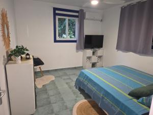 a bedroom with a bed and a television in it at Villa Ti'Sol in Saint-François