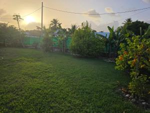 a backyard with a yard with a fence and trees at Villa Ti'Sol in Saint-François