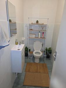 a bathroom with a white toilet and a sink at Villa Ti'Sol in Saint-François