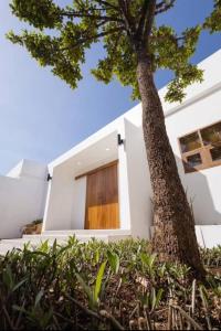 a house with a tree in front of it at Banrao Pool Villa Khaoyai บ้านเราพูลวิลล่าเขาใหญ่ in Ban Tha Maprang