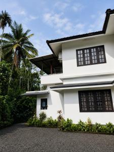 a white house with black windows and a palm tree at Sahyadri Homestay wayanad in Kalpetta