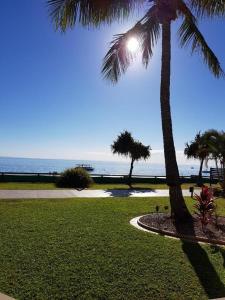 a palm tree in a park next to the ocean at Moreton Island Villas and Apartments in Tangalooma +6 photos