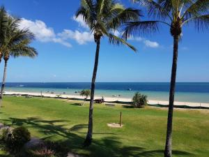 a view of a beach with palm trees and the ocean at Moreton Island Villas and Apartments in Tangalooma