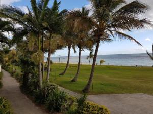 a row of palm trees next to the beach at Moreton Island Villas and Apartments in Tangalooma