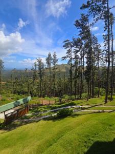 a bench sitting in a grassy field with trees at Altos del Dragón in Valle de Anton +16 photos