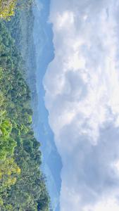 an overhead view of a river with trees and clouds at Misty Hill Land in Meppādi