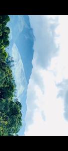 an overhead view of a body of water with trees at Misty Hill Land in Meppādi