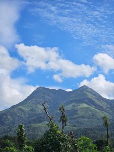 a view of a mountain with trees in the foreground at Misty Hill Land in Meppādi