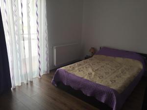 Gallery image of Pensiunea Bradului in Bradurile de Sus