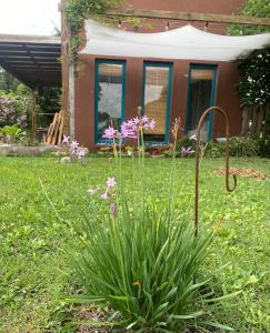 a plant in the yard in front of a house at Tiny House Marencalma in Santa Clara del Mar