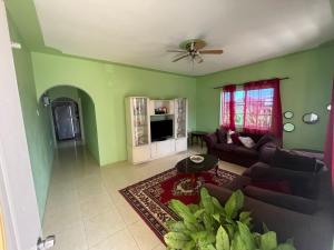 a living room with green walls and a couch at Serenity Escape in Runaway Bay