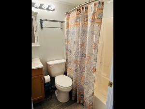 a bathroom with a toilet and a shower curtain at Hidden Treasure in Holden Beach