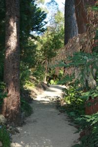 a path through a forest with trees on either side at Cath's cottage in Diamond Harbour