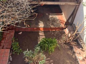 a view of a garden with plants and a house at TRAPICHE SUITES HABITACIONEs in Godoy Cruz