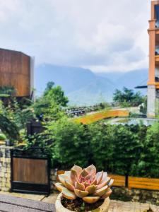 a flower in a vase sitting on a ledge at Phủ Homestay Sapa in Sapa