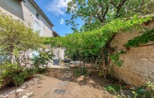 an ivy covered building with a brick wall at Charmante Maison  +7 photos