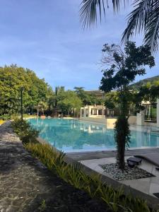 a swimming pool with a tree in the middle at 1BR Condo Unit in Pico De Loro in Nasugbu