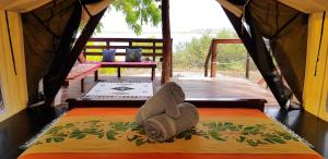 a bed in a tent with a towel on it at Roko Island in Thursday Island