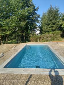 a swimming pool with blue water in a yard at Chata Pod lipami in Rokytnice nad Jizerou