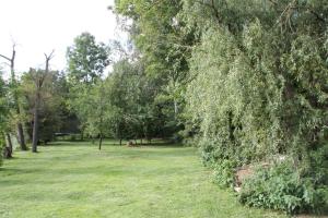 a park with green grass and trees in the background at Ferienwohnung Mühlradblick in Geismar