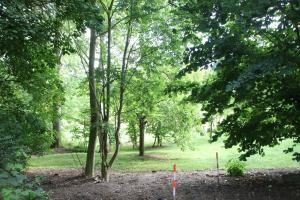 a group of trees in a park with two orange poles at Ferienwohnung Mühlradblick in Geismar