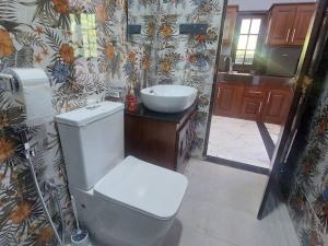 a bathroom with a toilet and a sink at Ken Homestay Waikkala in Wayikkal +13 photos