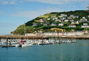 a bunch of boats docked in a harbor with a hill at Au Ptit MARIUS in Fécamp
