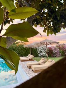 a group of lounge chairs and umbrellas next to a pool at Riverside Apartments in Ulcinj
