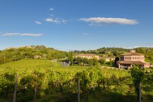 arial view of a vineyard with a house and a road at Tenuta Santavenere in San Bartolomeo +9 photos