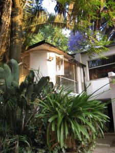 a house with a bunch of plants in front of it at Rosebank Hostel in Johannesburg