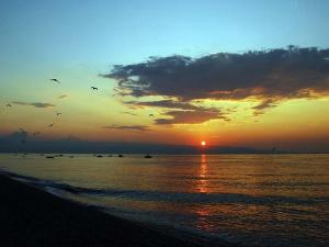 a group of birds flying over the ocean at sunset at La Terrazza Bella Sicula in Furci Siculo