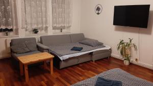 a living room with a couch and a tv at Apartmán vila Vítkovice in Vítkovice