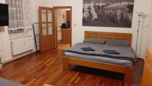 a bedroom with a bed and a wooden floor at Apartmán vila Vítkovice in Vítkovice