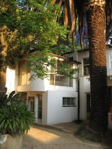 a white building with a palm tree in front of it at Rosebank Hostel in Johannesburg