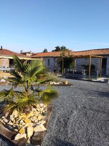 a palm tree in front of a house at La loge de la corderie in Marans