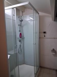 a shower with a glass door in a bathroom at BoerenBuiten De Brakke 1 in Vorstenbosch +11 photos