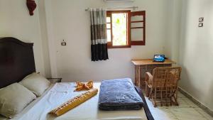 a room with a bed and a table and a window at sunset guest house in Aswan