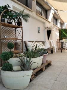 a bunch of potted plants sitting on a bench at Rooms next to Florentine with bomb shelter inside the building in Tel Aviv