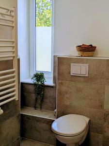 a bathroom with a toilet and a window at Gasthof Schausten in Kreuztal