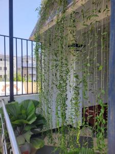 a bunch of plants hanging from a wall at Nivaa Stays - Near JIPMER in Pondicherry