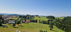a small village on a green hill with trees at Ferienwohnung Ronja im Hause Bergland Altreichenau in Neureichenau